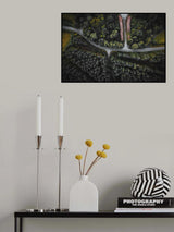 The pain of logging Poster och Canvastavla
