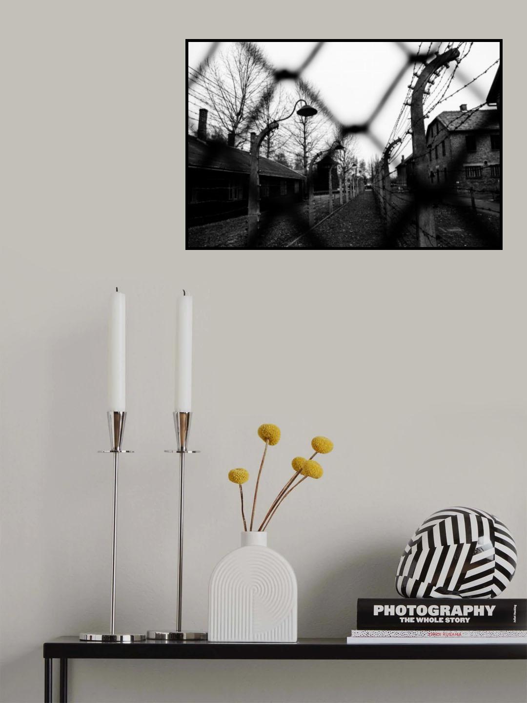 Behind the fences - Auschwitz I Poster och Canvastavla