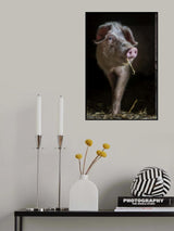 The luscious pig Poster och Canvastavla
