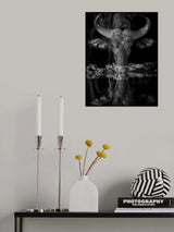 CONCENTRATION Poster och Canvastavla