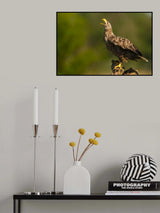Screaming Poster och Canvastavla