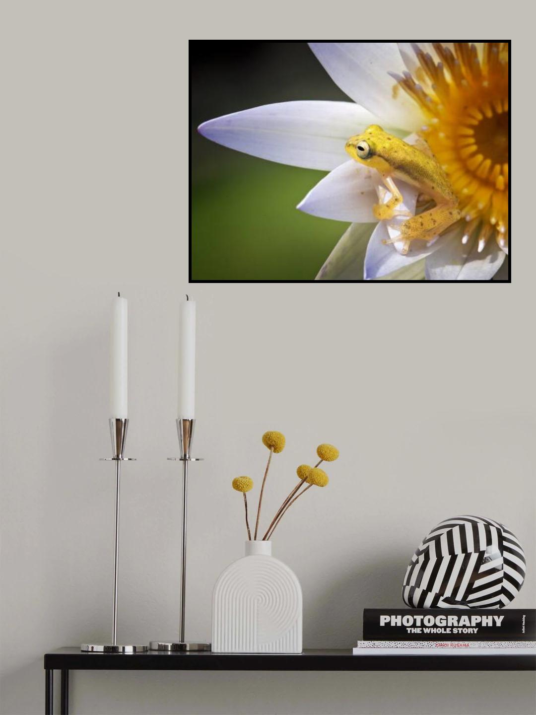 Yellow Frog Poster och Canvastavla