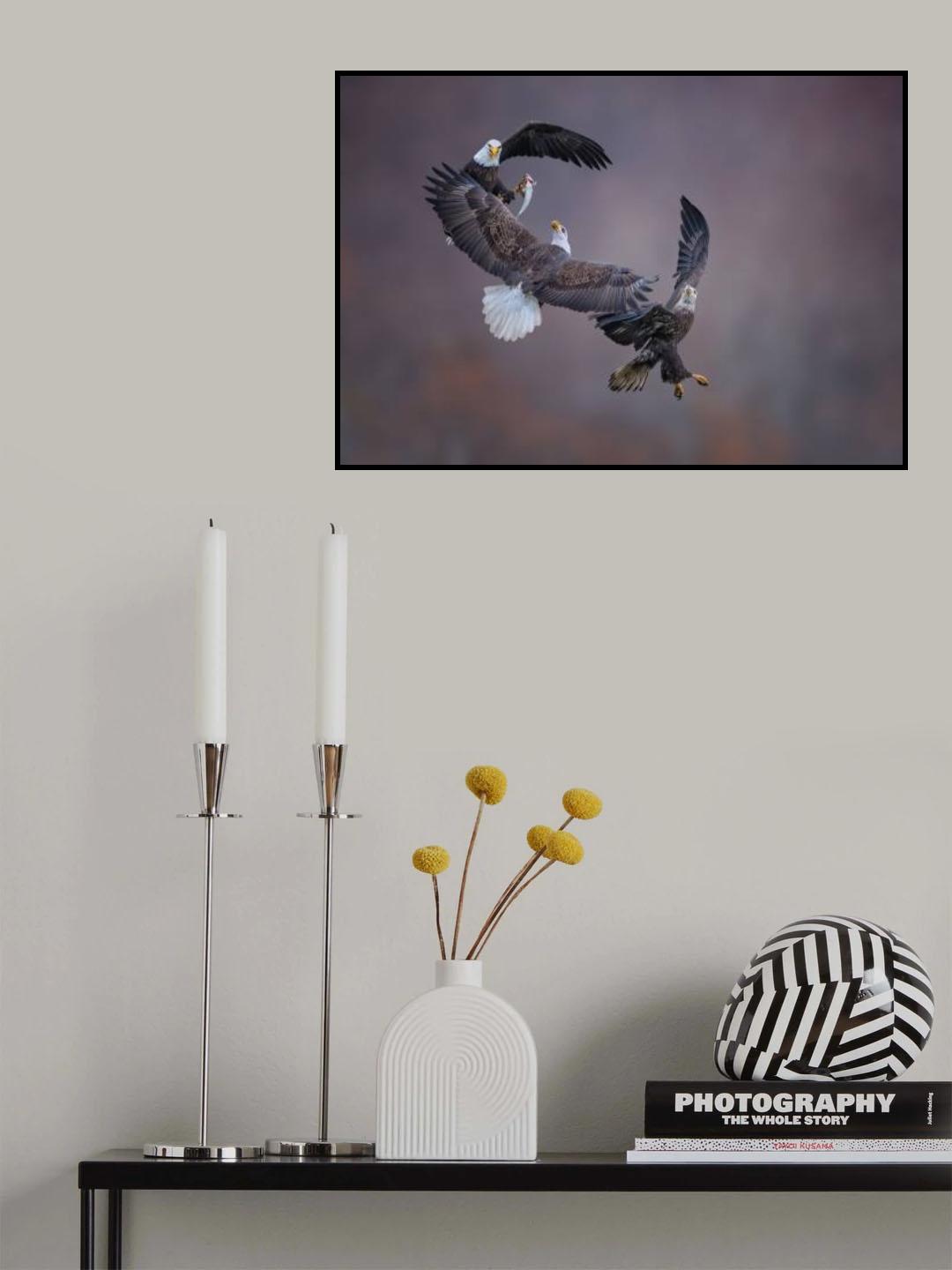 Eagle family Poster och Canvastavla