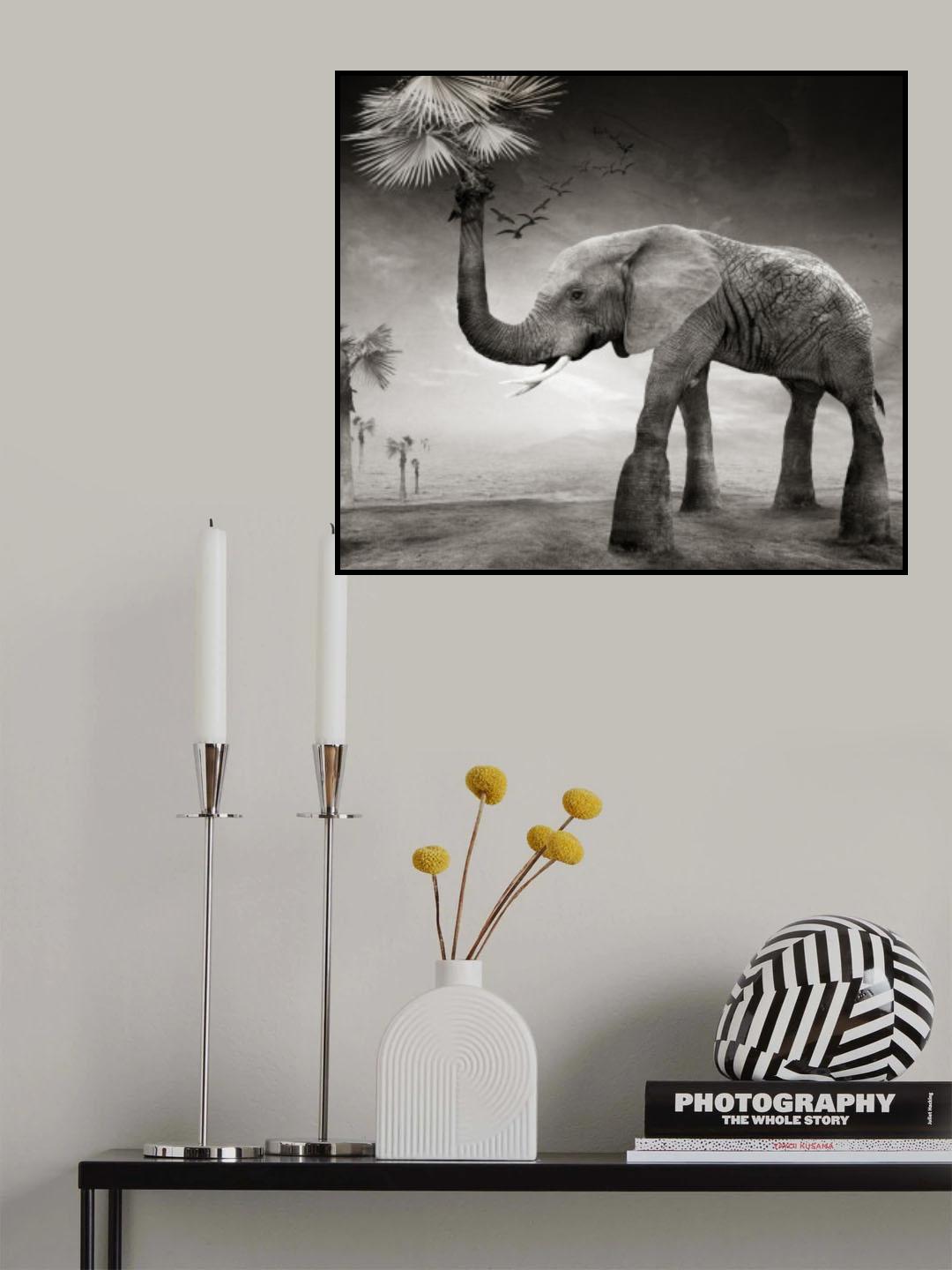 The story of elephants Poster och Canvastavla