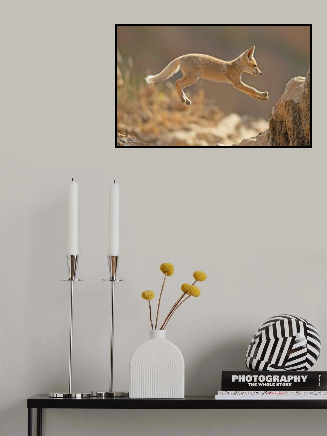 First jump of a Fox Cub Poster och Canvastavla