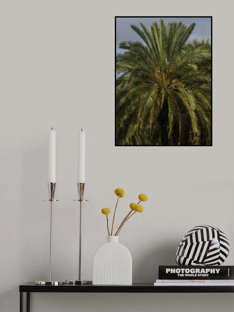 palm trees Poster och Canvastavla