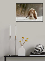 Just taking it easy Poster och Canvastavla
