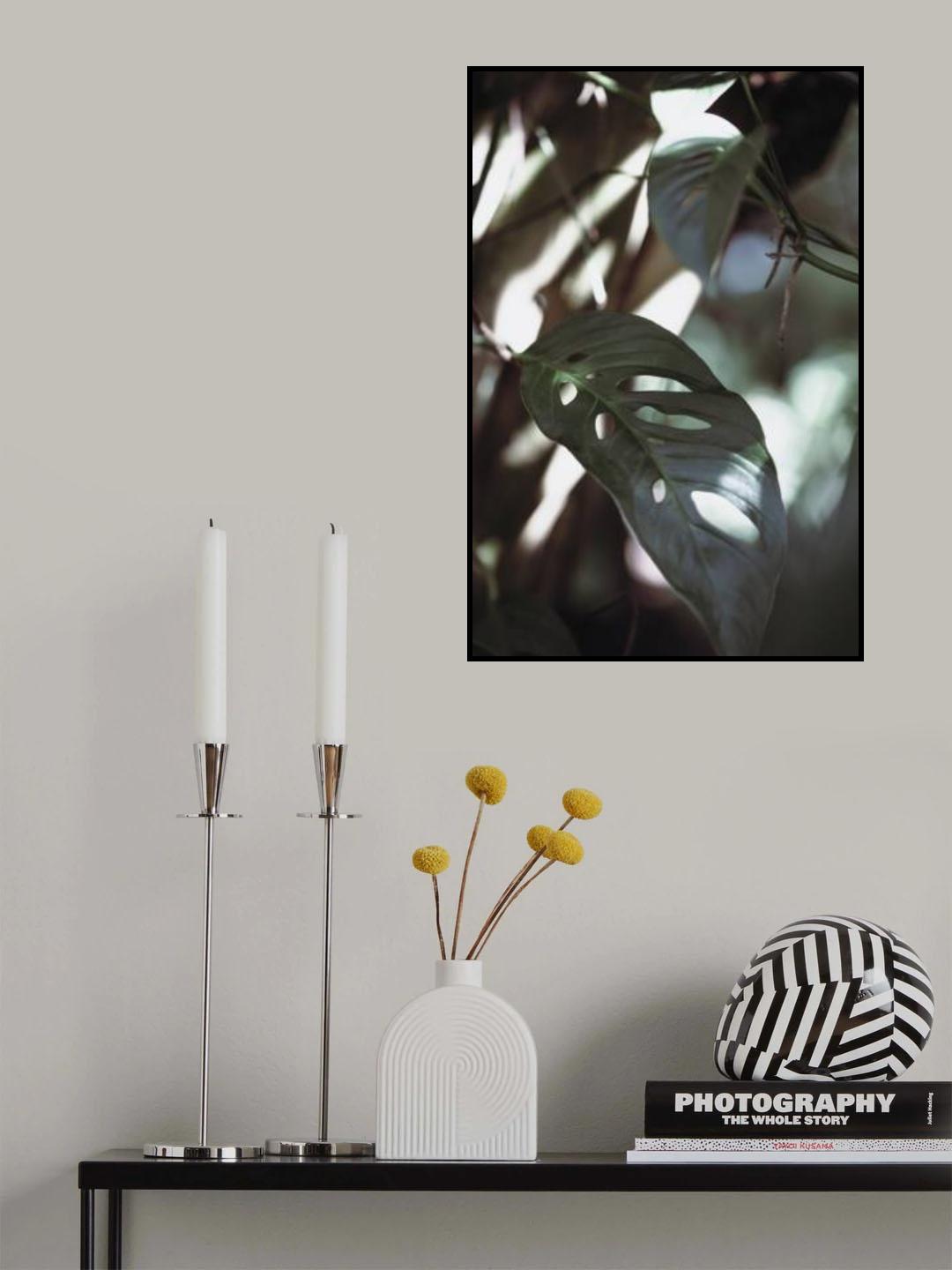 Monstrea Leaves Nature_1 Poster och Canvastavla