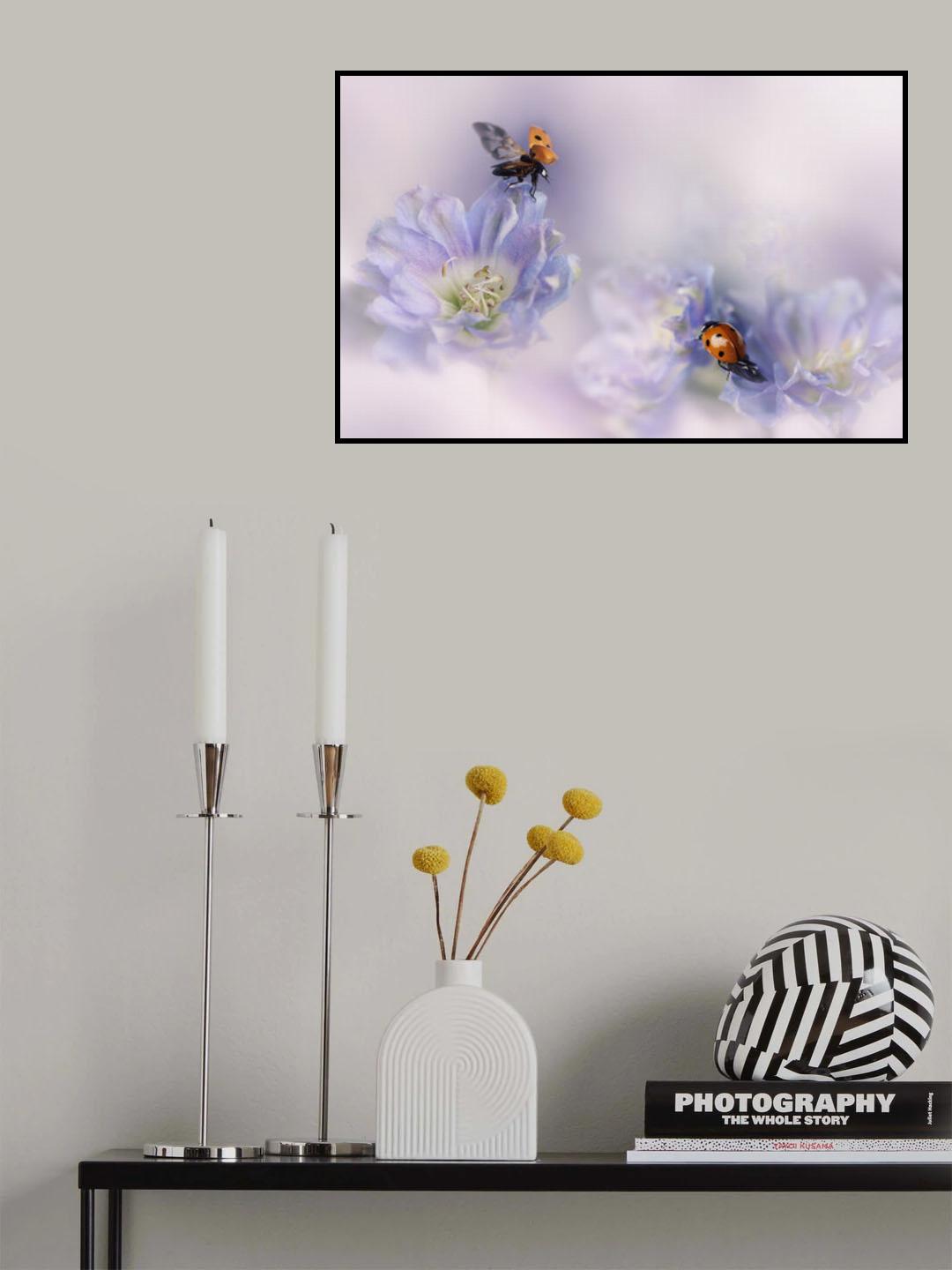 .... Poster och Canvastavla