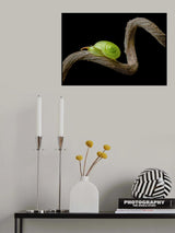 Winding Road Poster och Canvastavla