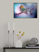 Aurora Poster och Canvastavla