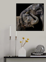 Embrace Poster och Canvastavla