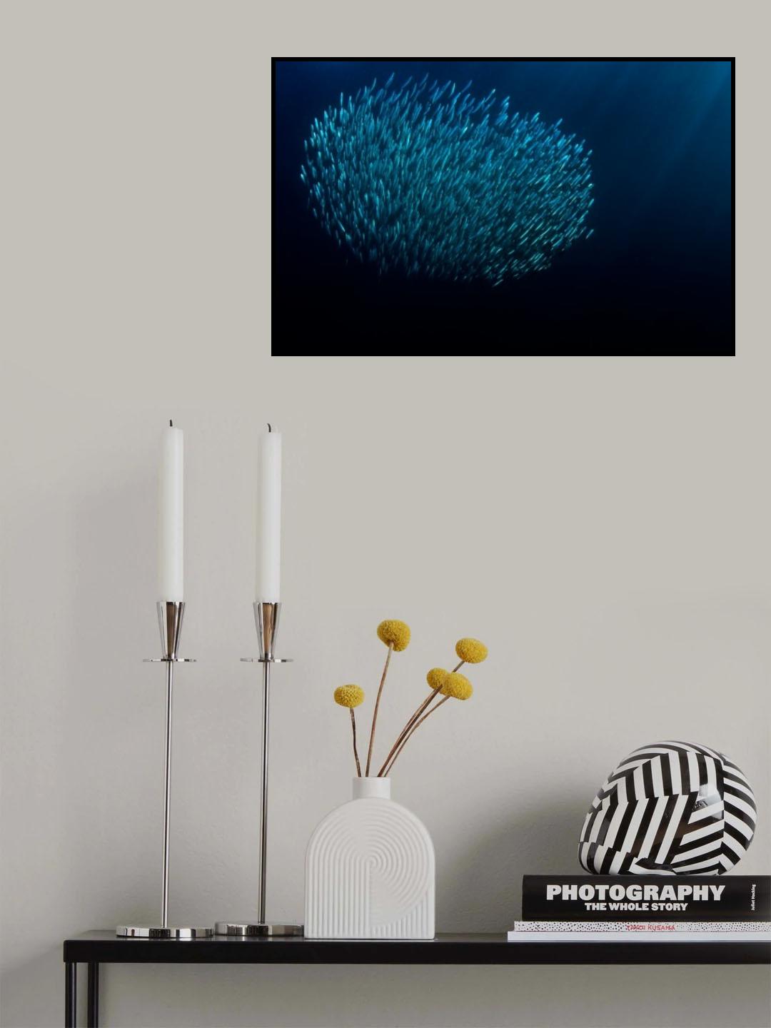 The Bait Ball Poster och Canvastavla