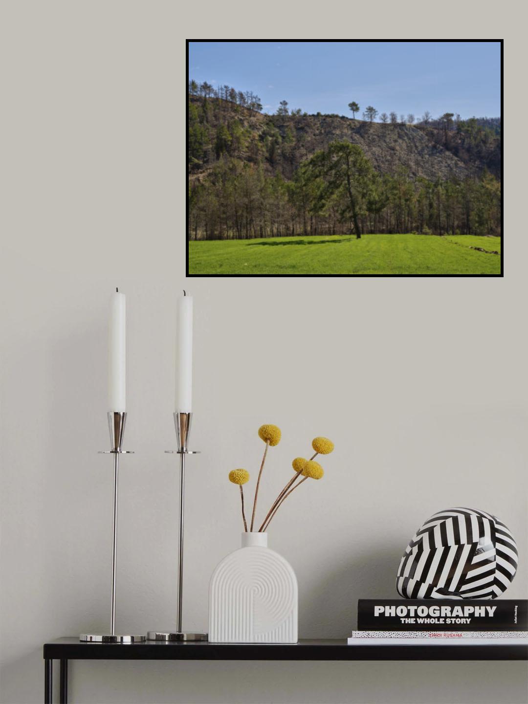 peaceful landscape in a rural place Poster och Canvastavla