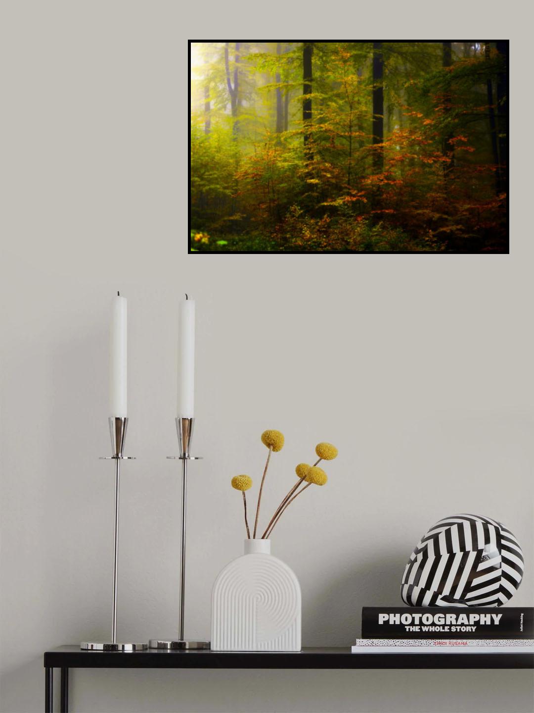 AUTUMN COLORS Poster och Canvastavla