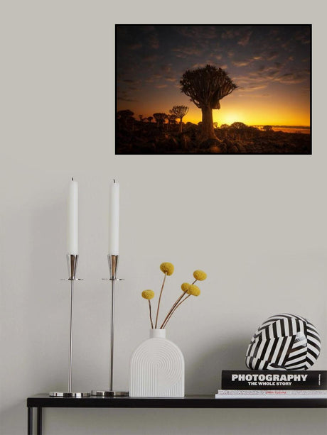 At sunrise 7R45806 Poster och Canvastavla