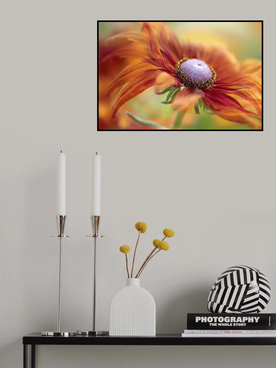 Autumn Rudbeckia Poster och Canvastavla