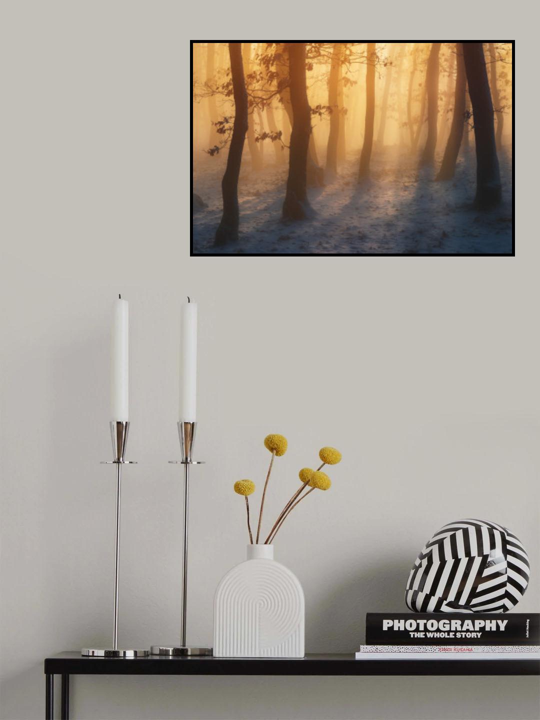 Winter forest Poster och Canvastavla