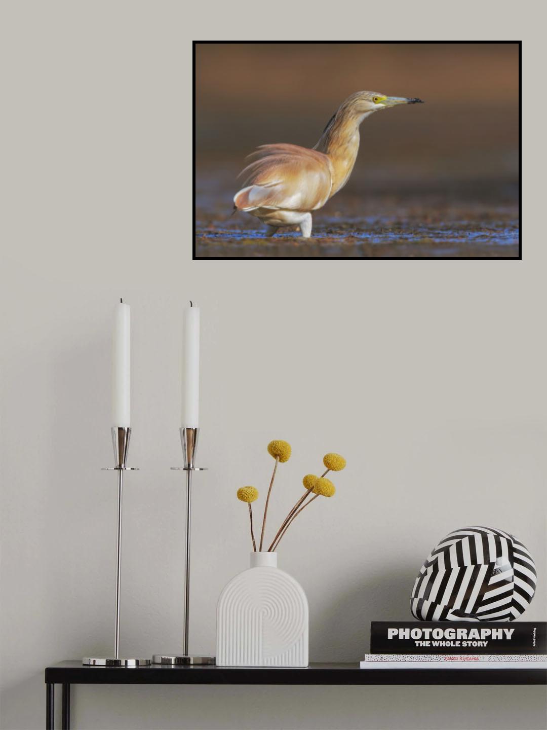Wait for a prey Poster och Canvastavla
