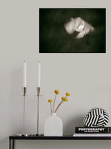 Landing Poster och Canvastavla