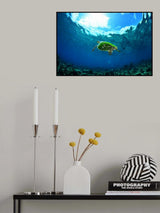 Lonely One Poster och Canvastavla