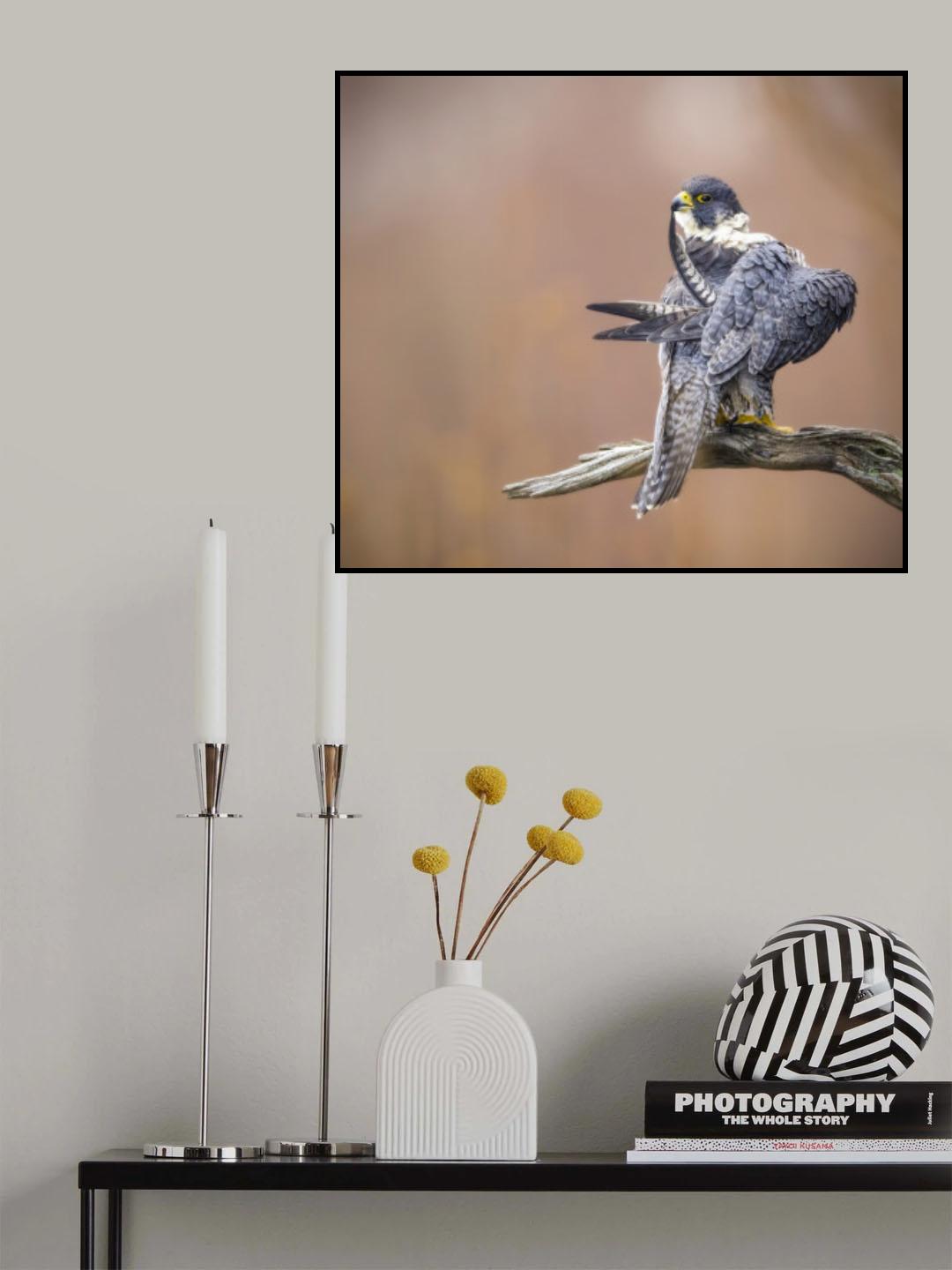 Preening Poster och Canvastavla