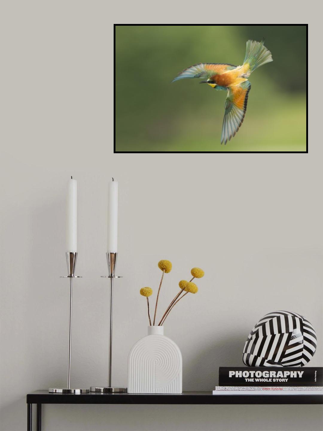 Bee eater Poster och Canvastavla