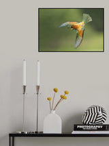 Bee eater Poster och Canvastavla