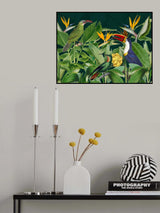 Rainforest Birds Poster och Canvastavla
