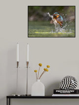 Catch in the sun Poster och Canvastavla
