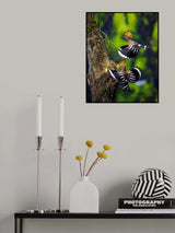 Poster och Canvastavla