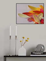 colorful flower petals Poster och Canvastavla