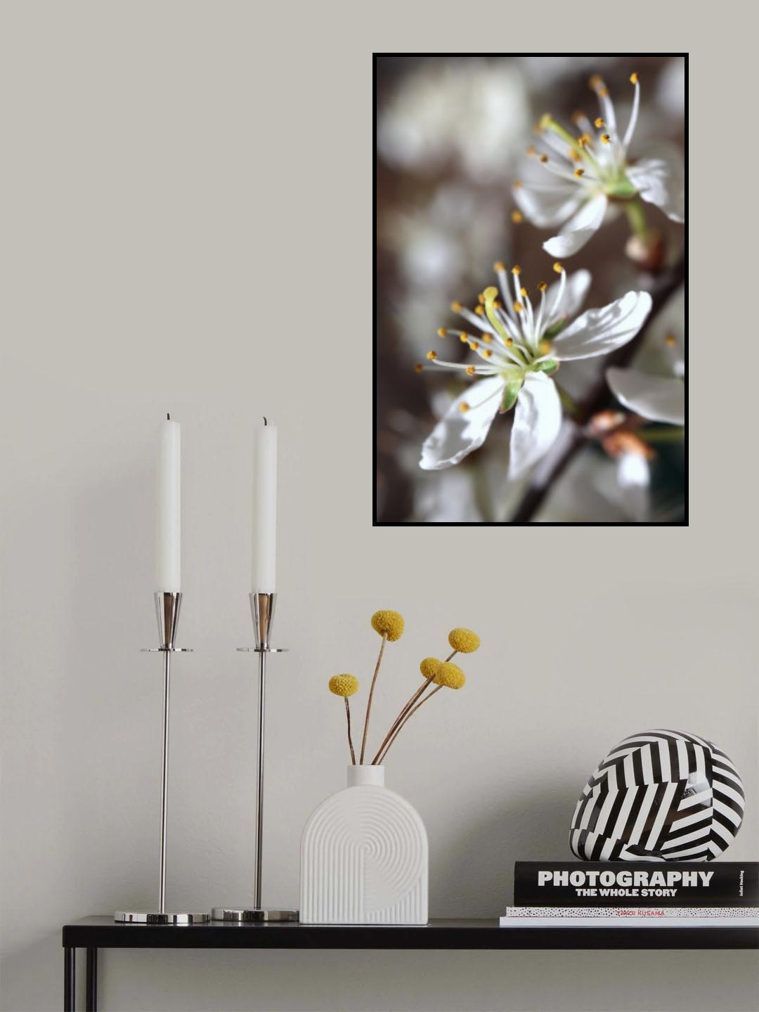 Spring blooms I Poster och Canvastavla