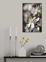Spring blooms I Poster och Canvastavla