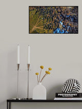Tree of life Poster och Canvastavla
