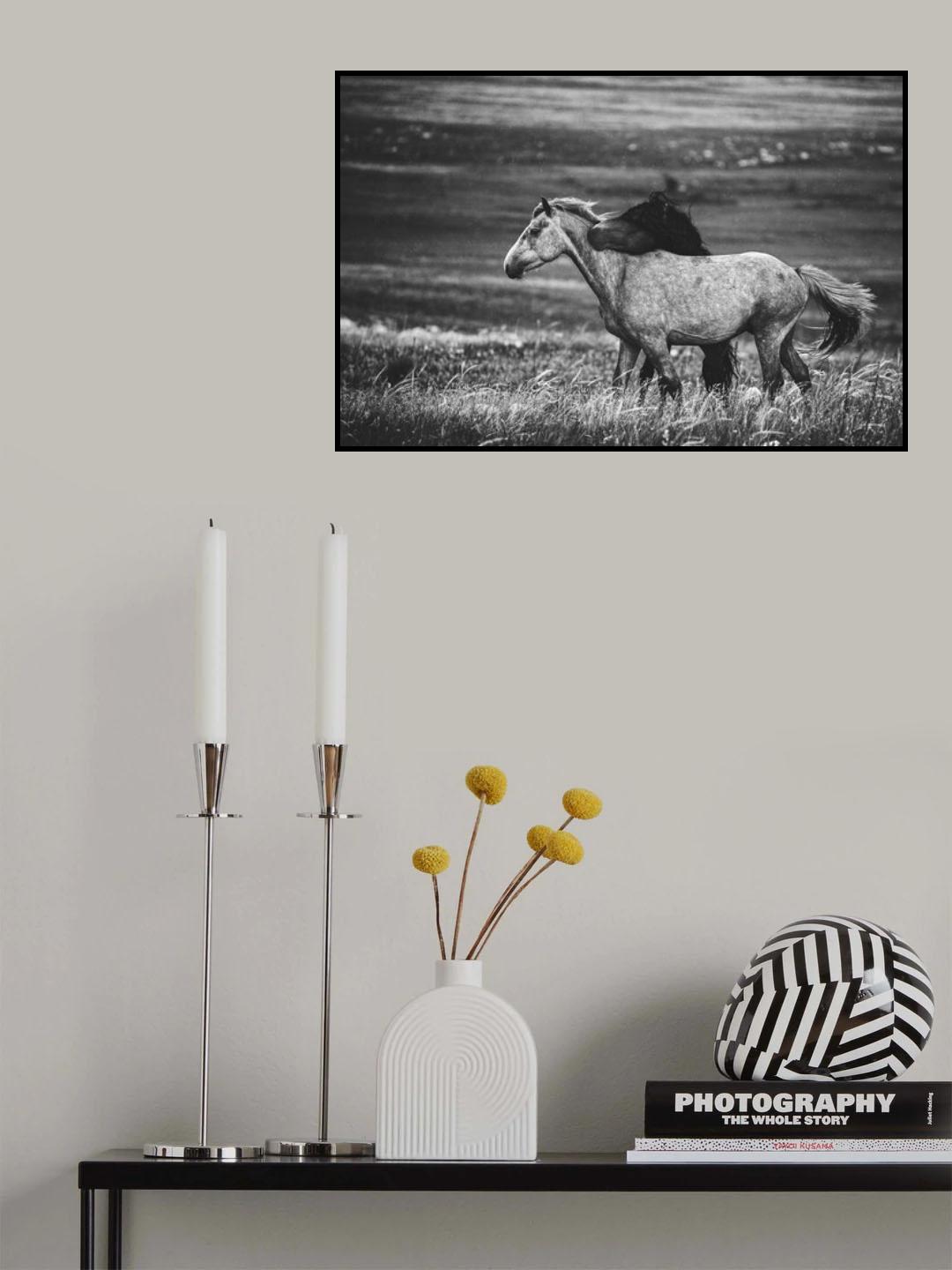 Love Poster och Canvastavla