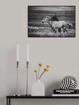 Love Poster och Canvastavla