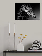 Giraffe Poster och Canvastavla