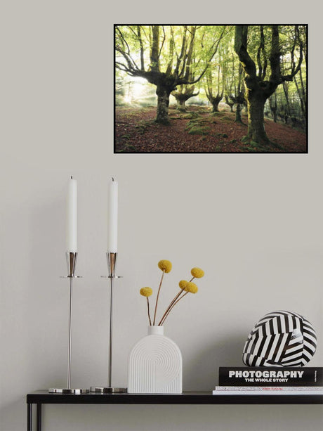 Magic Grove Poster och Canvastavla