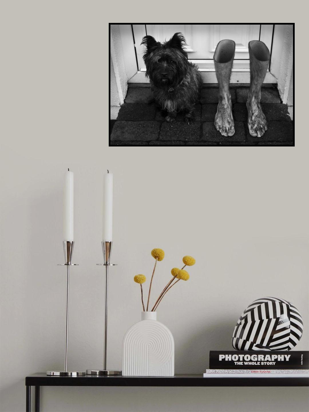 step inside Poster och Canvastavla