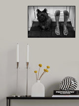 step inside Poster och Canvastavla