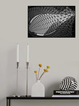 Like a fish Poster och Canvastavla