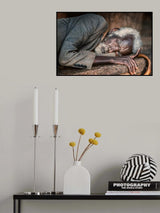In repose Poster och Canvastavla