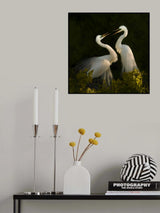 Love is in the air Poster och Canvastavla
