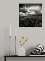 after the storm Poster och Canvastavla