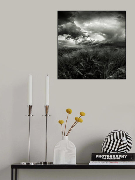 after the storm Poster och Canvastavla