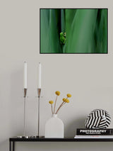 Stage curtain Poster och Canvastavla