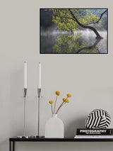 Light green Poster och Canvastavla