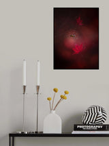 Captured red Poster och Canvastavla