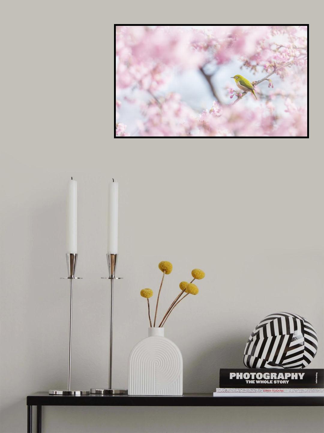 Cherry-blossom color Poster och Canvastavla